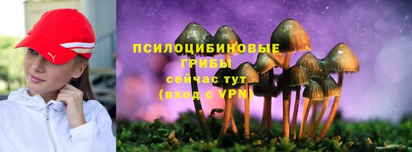 марки lsd Бугульма