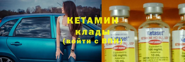 прущие грибы Бронницы