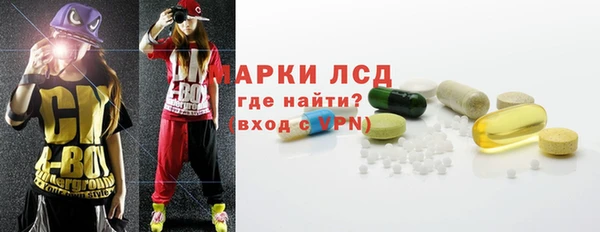 прущие грибы Бронницы