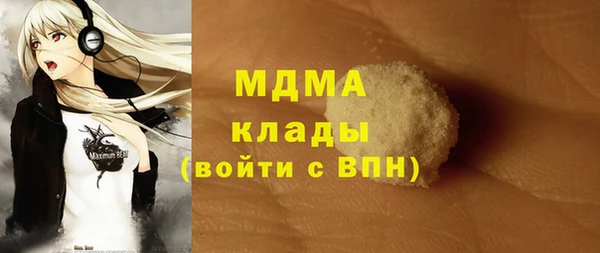 прущие грибы Бронницы