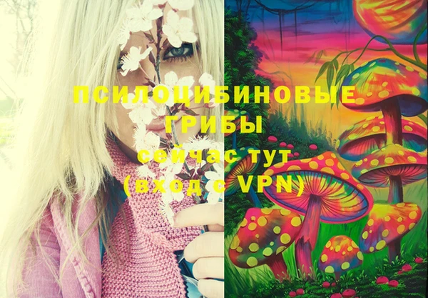 марки lsd Бугульма