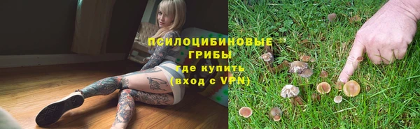 каннабис Белокуриха