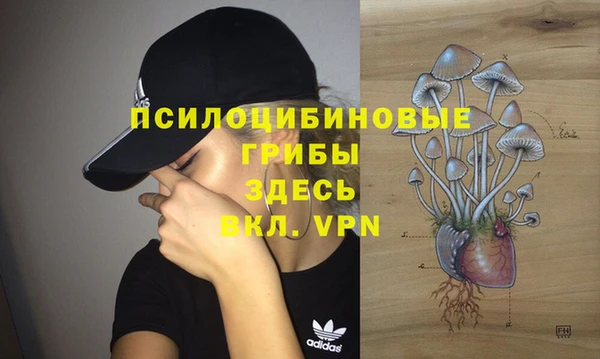 таблы Белоозёрский