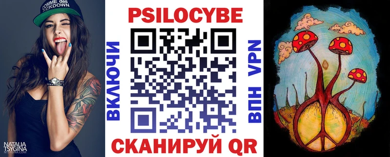 купить наркоту  Малоярославец  Псилоцибиновые грибы Cubensis 