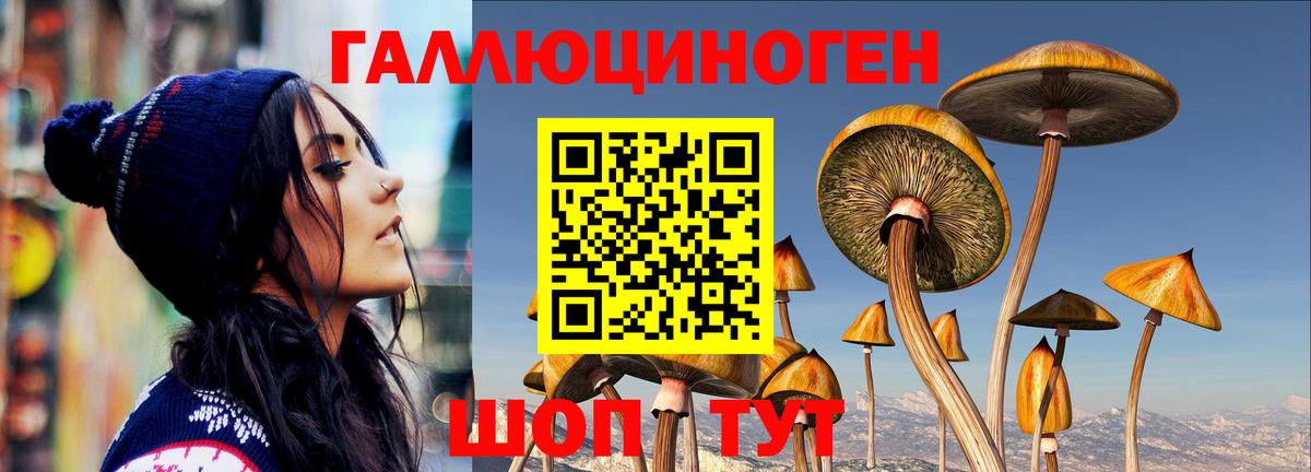 Псилоцибиновые грибы Cubensis Малоярославец